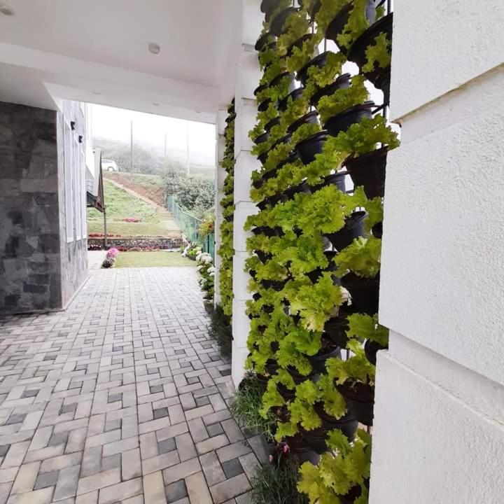 Pensive Villa Nuwara Eliya Exterior photo